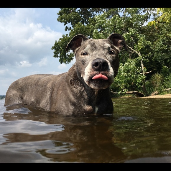 Meet your Posher, Kristen - Picture 4 of 4